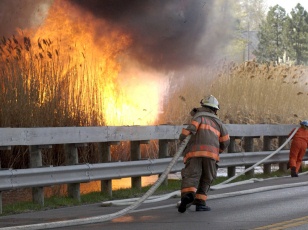 photo by Mentor FD