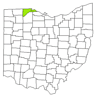 lucas county ohio fire, fire departments in lucas county, lucas county oh fire stations, volunteer fire department, lucas county ohio, lucas fire station numbers, lucas county fire jobs, lucas county live dispatch, lucas county fire departments, lucas county ems, lucas county ambulance