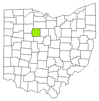 wyandot county ohio fire, fire departments in wyandot county, wyandot county oh fire stations, volunteer fire department, wyandot county ohio, wyandot fire station numbers, wyandot county fire jobs, wyandot county live dispatch, wyandot county fire departments, wyandot county ems, wyandot county ambulance